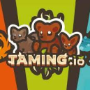 Taming.io Taming.io