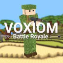 Voxiom.io Voxiom.io